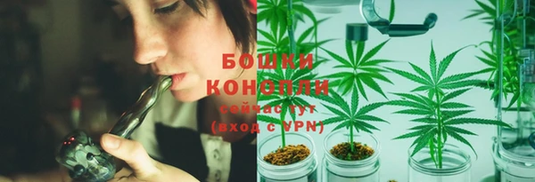 индика Лиски