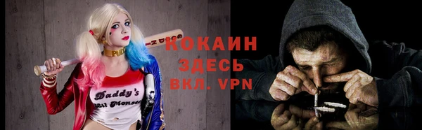 индика Лиски