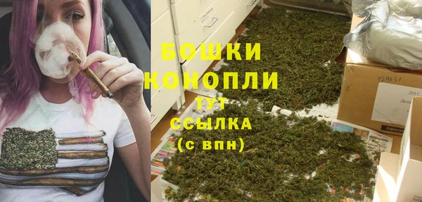 сатива Лихославль