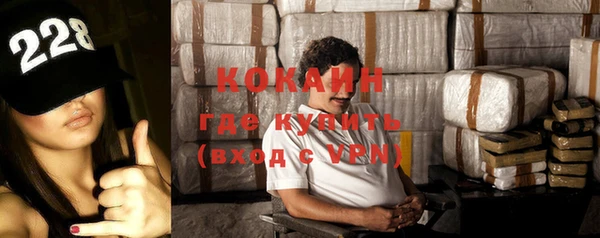 индика Лиски