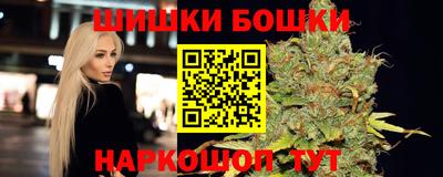 Альфа ПВП Гатчина