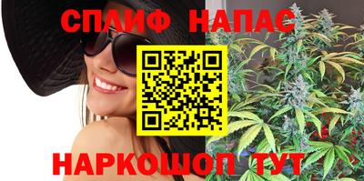Альфа ПВП Гатчина