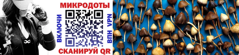 Галлюциногенные грибы мухоморы  MEGA онион  Обнинск 
