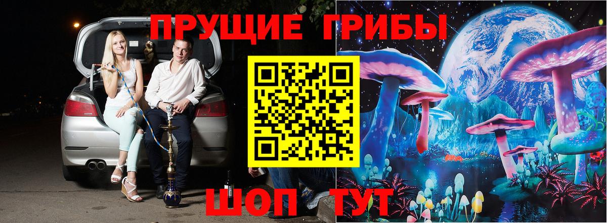 Галлюциногенные грибы мицелий Обнинск