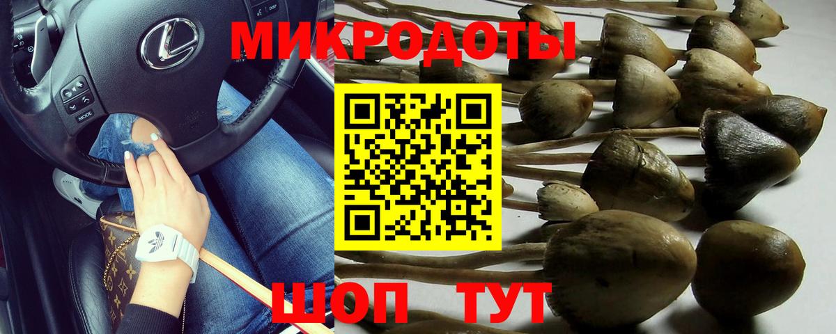 Псилоцибиновые грибы MAGIC MUSHROOMS  Вход с VPN  Обнинск 